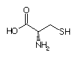 Biochimie structurale Cys