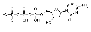 Biochimie structurale Dctp