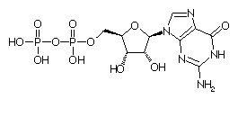 Biochimie structurale Gdp