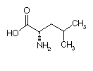 Biochimie structurale Leu