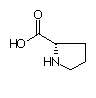 Biochimie structurale Pro