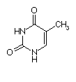 Biochimie structurale Thy