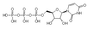 Biochimie structurale Utp