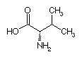 Biochimie structurale Val