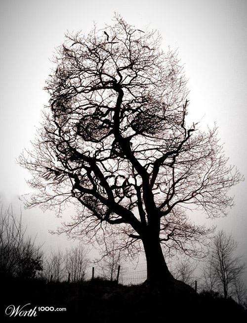 Muhtesem Photoshp Calismalari Tree-of-death-photomanipulation