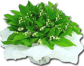  FINALE CHAMPIONS CUP  2015 - Page 2 Bouquet.de.muguet