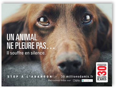 Campagne contre l'abandon Affiche1