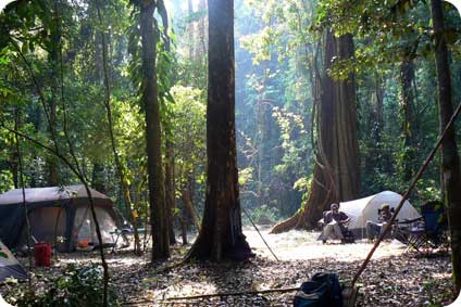 Une équipe de scientifiques a découvert un bout de paradis perdu, au nord du Mozambique Actu-camp