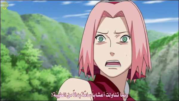 ناروتو شيبودن الحلقة 224 | naruto shippuden 224 13131068872