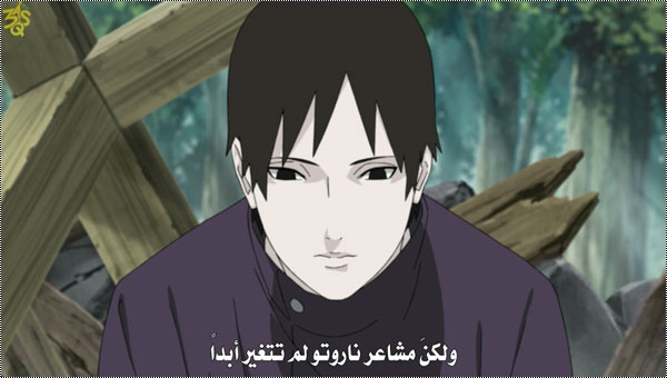 ناروتو شيبودن 238 | الحلقة 238 من ناروتو شيبودن مترجم | 238 Naruto shippuuden 13227494983