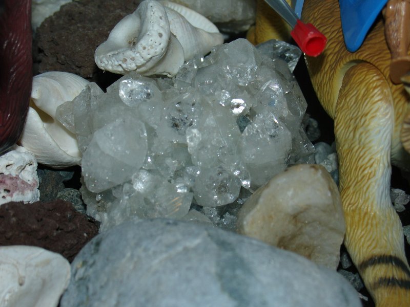 From Chinasaurs to Dinosaurs to Minerals & Ocrhids! Clearcalcite