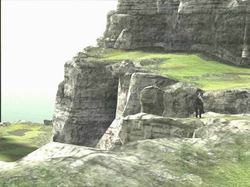 Shadow of the Colossus 11876