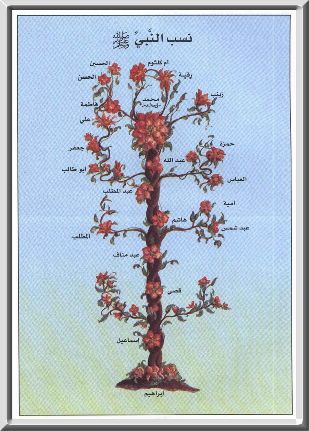 موسوعة قصص الأنبياء الكاملة من آدم عليه السلام الى محمد صلى الله عليه وسلم    809_1235895014