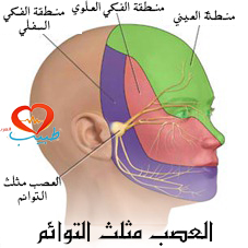 ألم العصب مثلث التوائم ( Trigeminal neuralgia ): أسبابه وأعراضه وعلاجه %D8%B7%D8%A8%D9%8A%D8%A8-%D8%B9-%D8%B9%D8%B5%D8%A8%D9%8A-%D8%AA%D8%B4%D8%B1%D9%8A%D8%AD-%D8%A7%D9%84%D8%B9%D8%B5%D8%A8-%D8%A7%D9%84%D9%88%D8%AC%D9%87%D9%8A