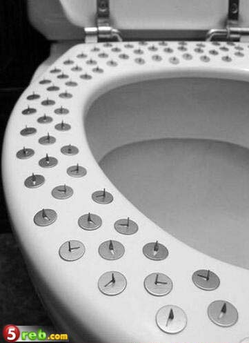 عجائب الصور . لازم تشوفوها . ههههههههههههههههههه TackyToilet