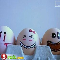 سيناريو ...حياة بيضة Egg5-250x250