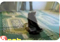فيديو ..دخلوا المسجد لصلاة الفجر فوجدوا سجادة تصلي وهي واقفة Sjdah
