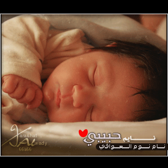 صور بلاك بيري مواليد  66a66.com-4560ed67f6