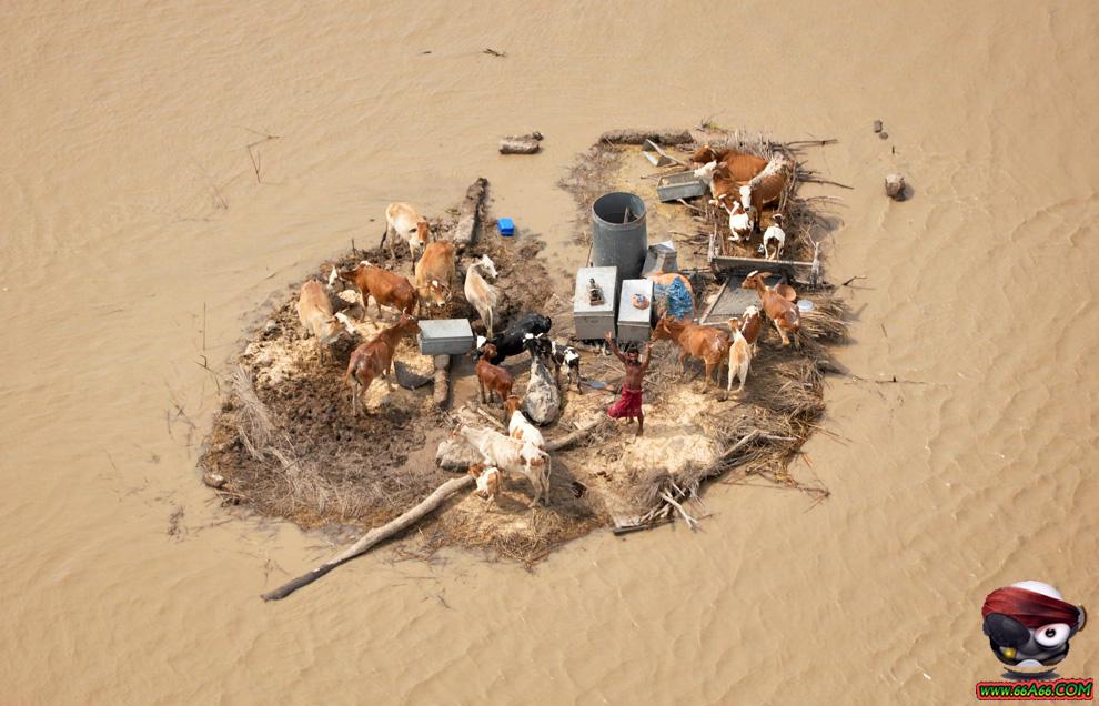 فيضانات باكستان بالصور والفيديو والتقرير عن الكارثة Domain-1eb2da5bfd