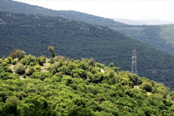 متعة الطبيعة في الاردن ( برقش ) IMG_9128-570x379