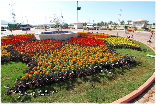 حديقة الزهور المدينة المنورة