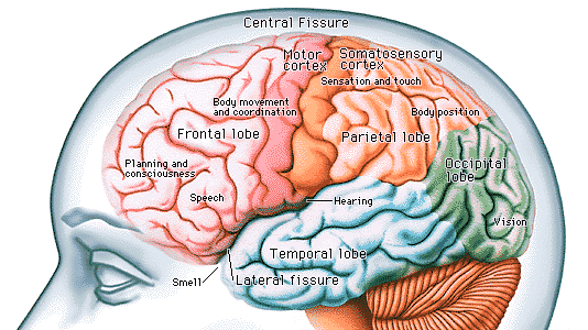 علم النفس والاجتماع BIOLOG7