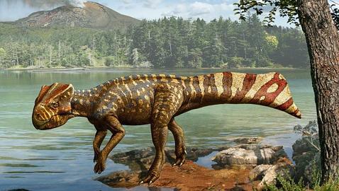 Descubren un nuevo dinosaurio «nadador» en Corea  Koreaceratops2--478x270