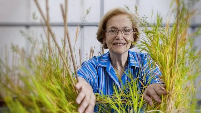 «La agricultura orgánica no es mejor, es un capricho de ricos»  OBJ2630393_1--644x362