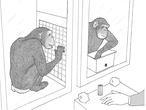 Los chimpancés son generosos por naturaleza. Monos--146x110