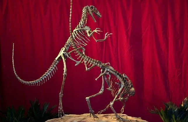 Hallan en Argentina una nueva especie de dinosaurio cazador Dinosuario-argentino--644x420