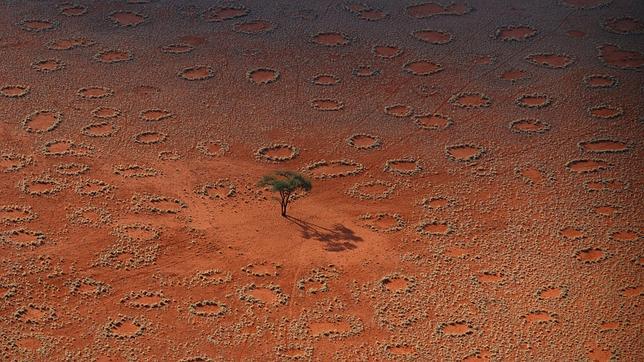 ¿quien está detrás de los extraños circulos que aparecen en el desierto ? Juergens1HR--644x362