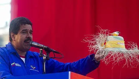 Maduro luce un sombrero de paja con un pajarito en un acto de campaña  26421706--478x270