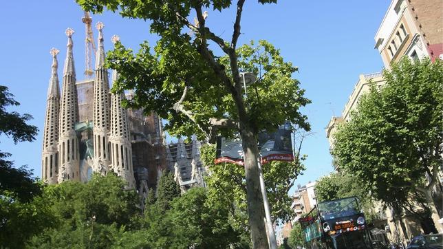 Preparan un acto antiseparatista en la Sagrada Familia en Barcelona para la Diada del 11 de septiembre Sagrada-familia--644x362