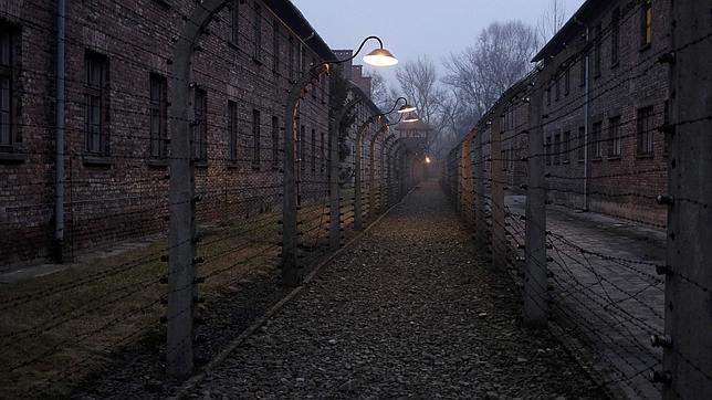 PROGRAMA 16 TEMPORADA 11 Auschwitz--644x362