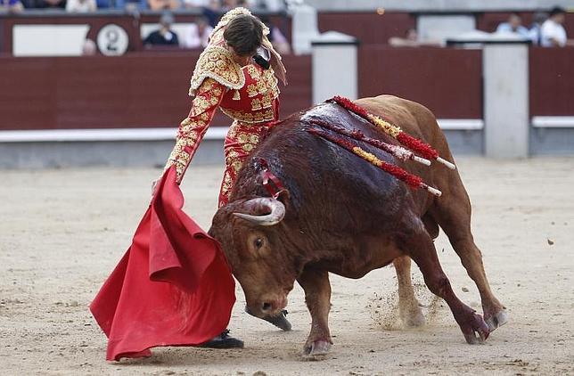 maltrato animal - Maltrato animal. Un juez no ve maltrato animal tirar a un perro a un pozo de 30 metros Entrevista-eugenio-mora-pamplona--644x422