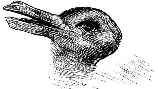 ILUSIONES ÓPTICAS - Página 39 Pato-conejo--620x349