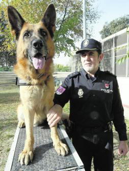 los perros policias muy currantes NAC_MAD_web_57