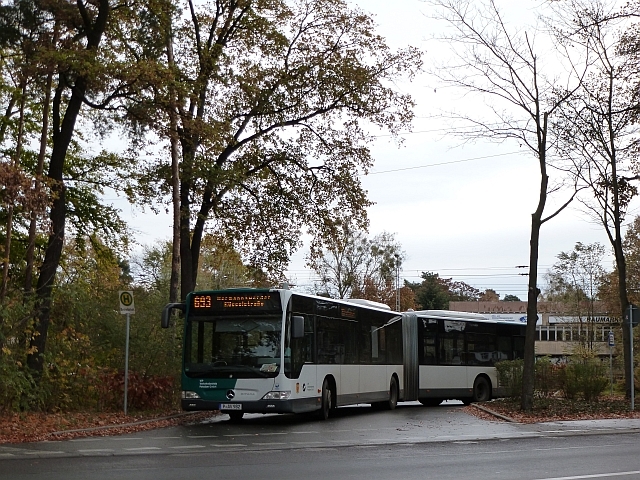 Samstag, 03.11.2012 Plan Bus 136/236, ÖPNV-Bilder aus Potsdam 01_982_693reqh3