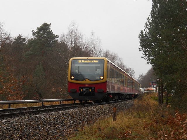 Montag, 26.12.2011 (2.Weihnachtsfeiertag): viele Strausbergbilder, 1Video 03_05o3ju9