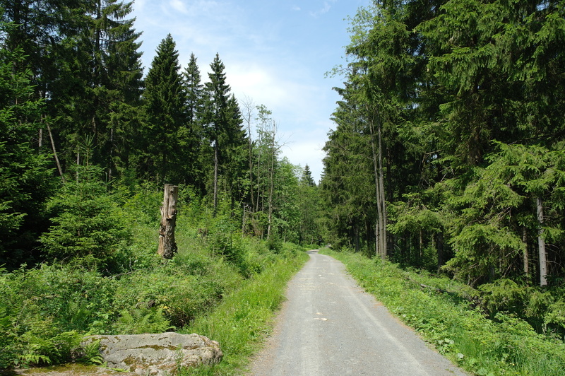 Jordanshhe/Rehberg(Bilder 29.6.2011) 056qfcm