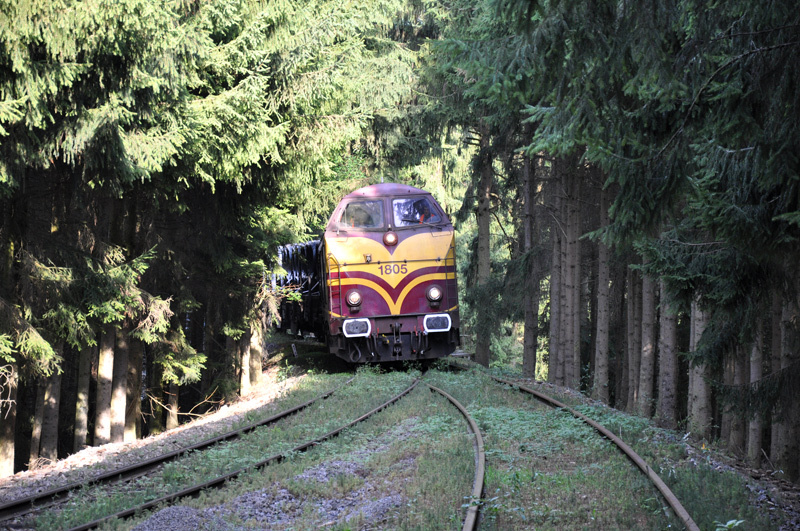 Le train vers Bissen du 16 avril 2010 0824_85auir