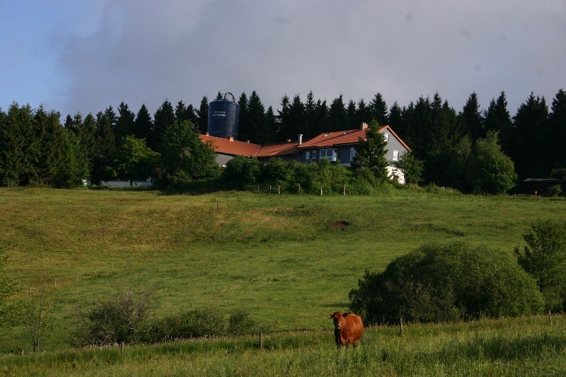 Einladung zum Wiesenbltenfest 2011 2011-06-17010800x533lxm2