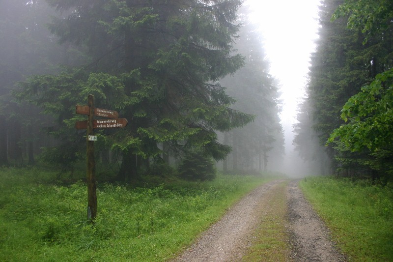 Zu_Wandern im "Echten Oberharz" (Sankt Andreasberg) 2011-06-26010800x5334m7t