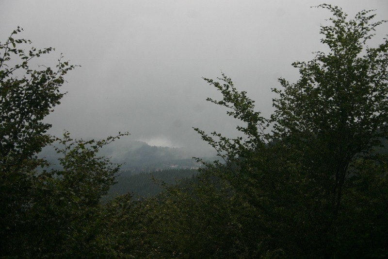 Zu_Wandern im "Echten Oberharz" (Sankt Andreasberg) 2011-06-26018800x533f8u6