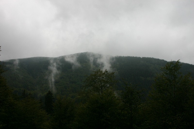 Zu_Wandern im "Echten Oberharz" (Sankt Andreasberg) 2011-06-26019800x533jjpi