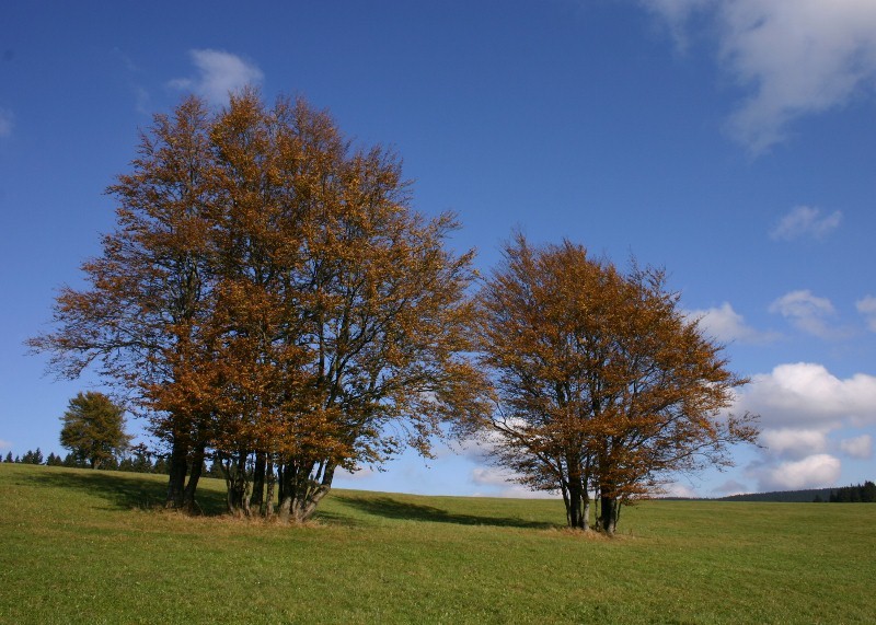 Der 24. Oktober 2011 2011-10-24093800x571kpzd