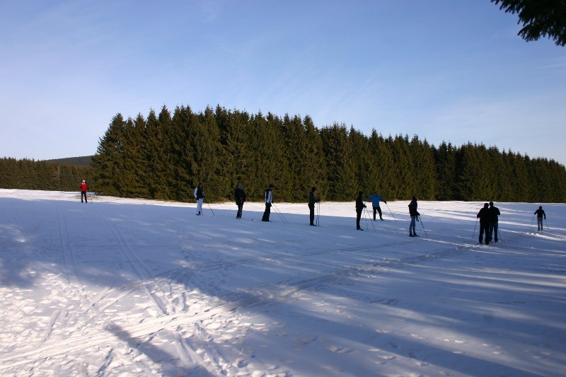 Ein Wintertag - herrlich auch fr Hunde 2012-01-18058800x53379z9w