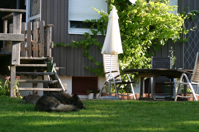 "Hundstag" 19. August 2012 2012-08-19087x3a55