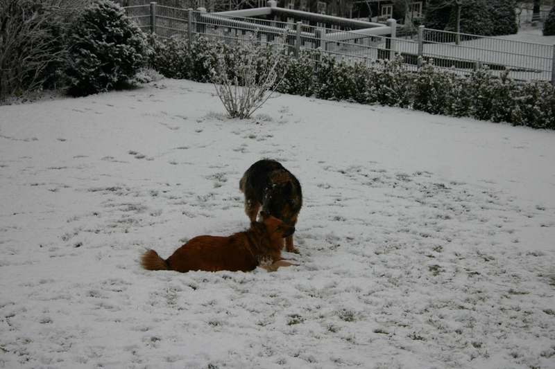 Alte Liebe rostet nicht: Eddy und Cindy... 2012-11-29057xrxf2