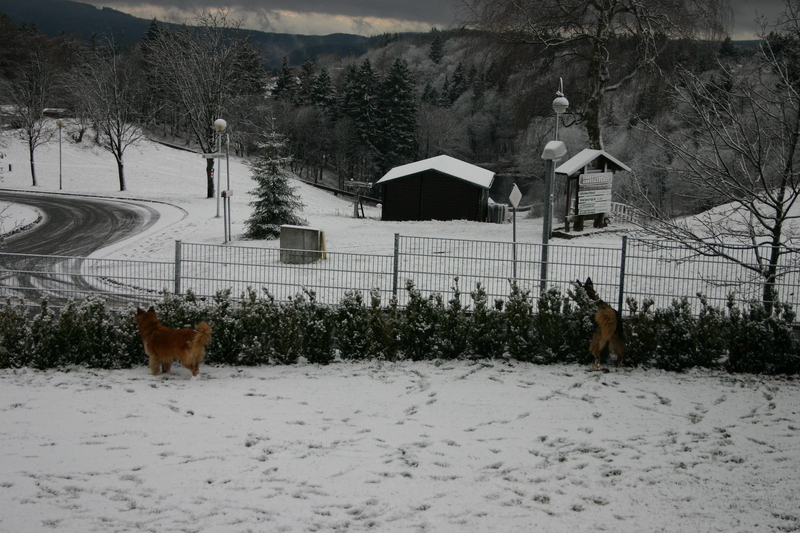 Alte Liebe rostet nicht: Eddy und Cindy... 2012-11-29072pqbqw